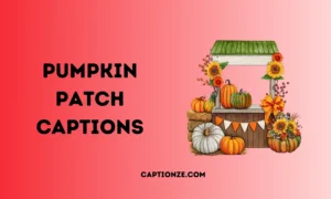 Read more about the article 500+ Perfect Pumpkin Patch Captions for Instagram in 2025
